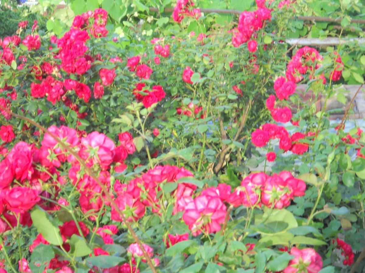 Гостевой дом Guest House Cosmos Тбилиси-45