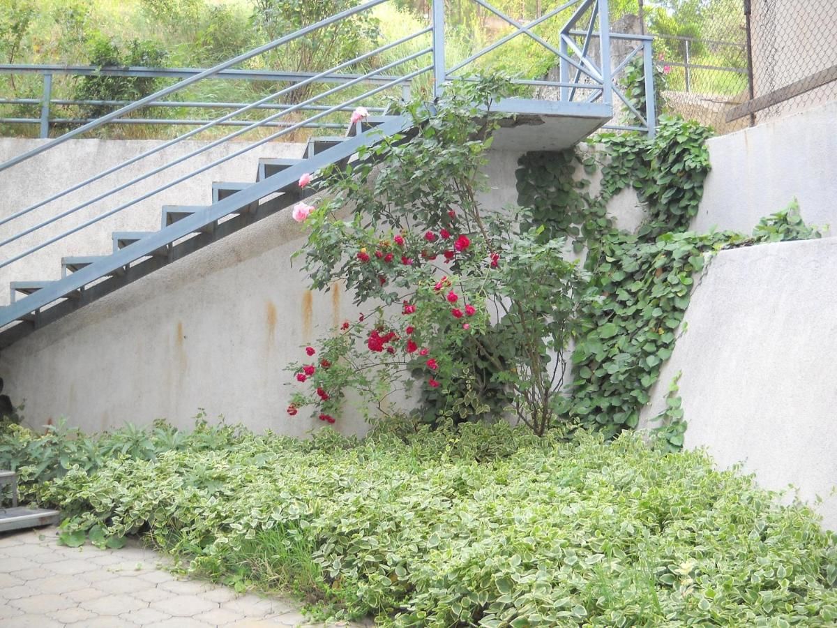 Гостевой дом Guest House Cosmos Тбилиси-47