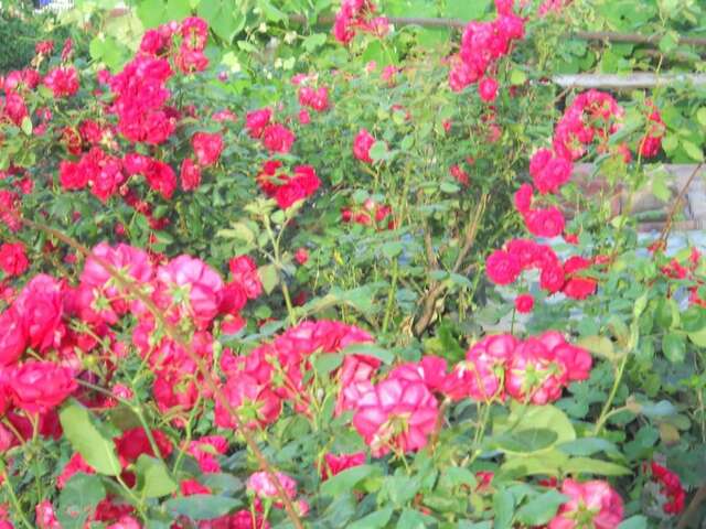 Гостевой дом Guest House Cosmos Тбилиси-44