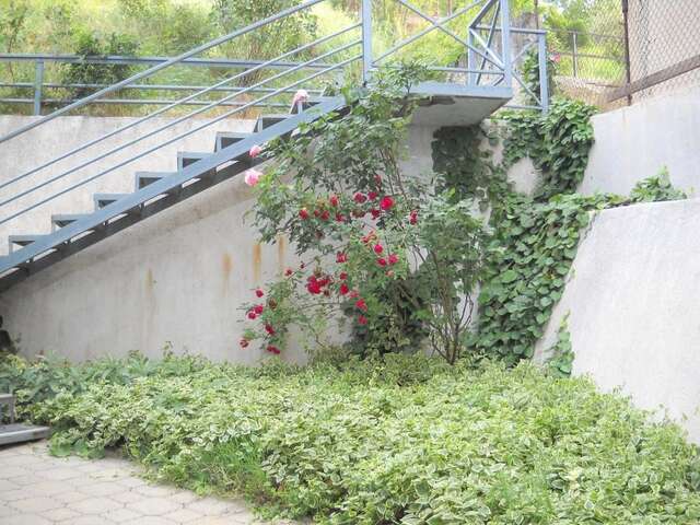 Гостевой дом Guest House Cosmos Тбилиси-46